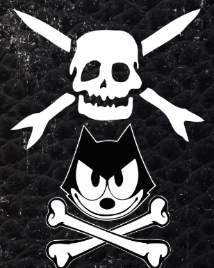 TEENAGE BOTTLEROCKET AND THE QUEERS FINALLY DELIVER DECADES-IN-THE-MAKING SPLIT 7”